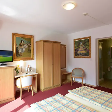 Hotel Dischma - Free Bus And Train Ticket 3*